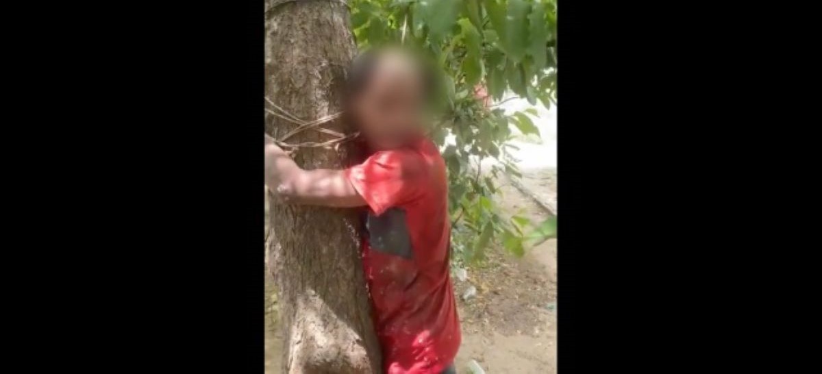 بلند شہر میں نوجوان کو درخت سے باندھ کر مارا پیٹا گیا۔ (تصویر: ٹوئٹر ویڈیو گریب)