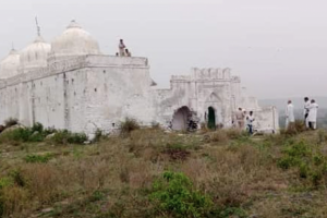 راجستھان کے الور میں واقع بہادر پور کی مسجد۔ (تصویر: یاقوت علی)